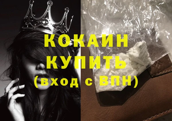 шишки Верхний Тагил