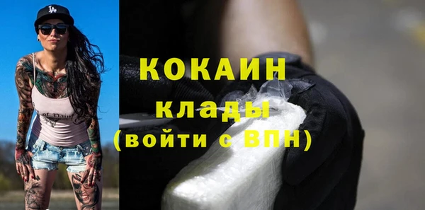шишки Верхний Тагил