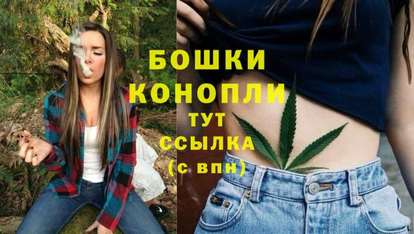 шишки Верхний Тагил