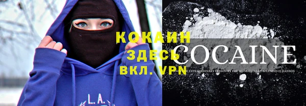 шишки Верхний Тагил