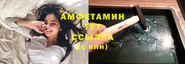 шишки Верхний Тагил