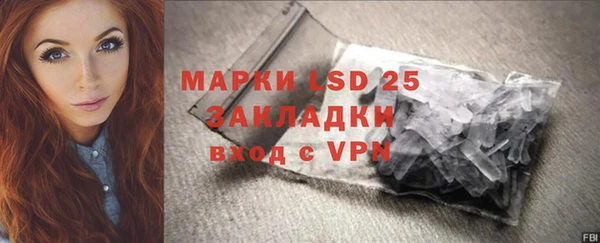 прущие грибы Володарск